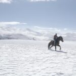 Film-still-5-Dreamers-and-a-Horse-Vahagn-Khachatryan-und-Aren-Malakyan